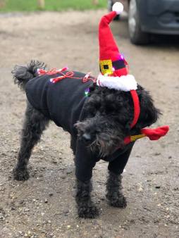 47576304_10156508558101201_4560610494976622592_n